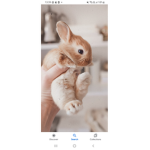 ~Bunny's rule