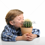 cactus liking gang