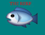 TSC | The Reef