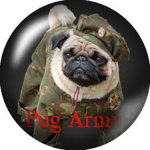 Pug Army!