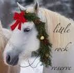 ~ Little Rock Reserve ~