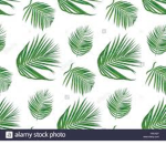 Emily clothing