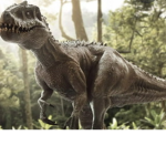 Dinosaur Cookie Super Group