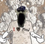 mold nation