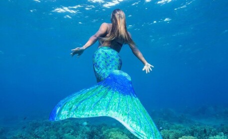 🌊MERMAID WORLD!