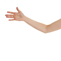aRm gAmE