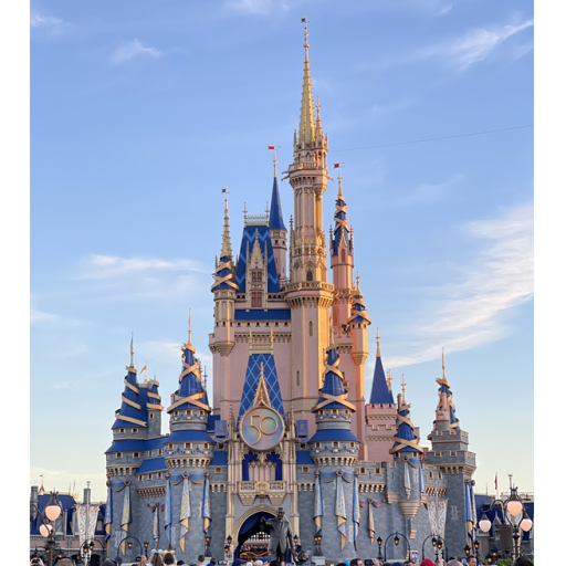 Disney World Theme Park (HOLLYWOOD STUDIOS+MORE)