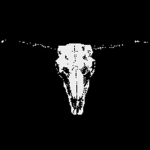 Flesh & Bone
