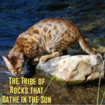 The Tribe of Rocks that Bathe in the Sun