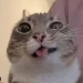 join the group to play icon