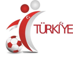 Türkiye birliği