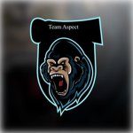 | Team Aspect |