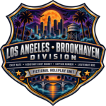 LOS ANGELES POLICE BROOKHAVEN DIVISON