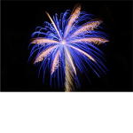Fun Fam Firework