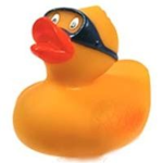 Epic Duck Appreciation Group