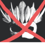Noobs unite group!