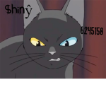 $hinŷ