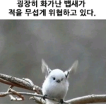 로벅쯔받는방