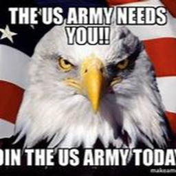United States Army Frot Bradley