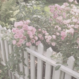 ˚ ༘ ⸝⸝ 🍃