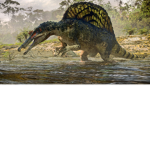 Dinosaurs are amazing and cool