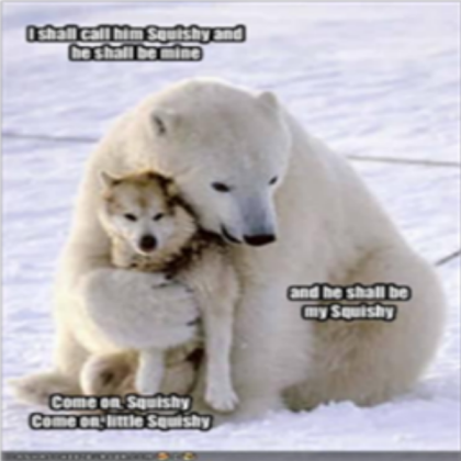Funny Polar Bear :3 Meh Squishy! Roblox decal