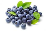 Blueberry fa