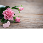 Flower Vibes For Life