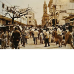 Lalo dinosaurio followers