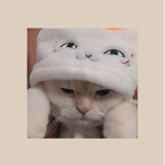 Cöôkîēś wīth mîłk