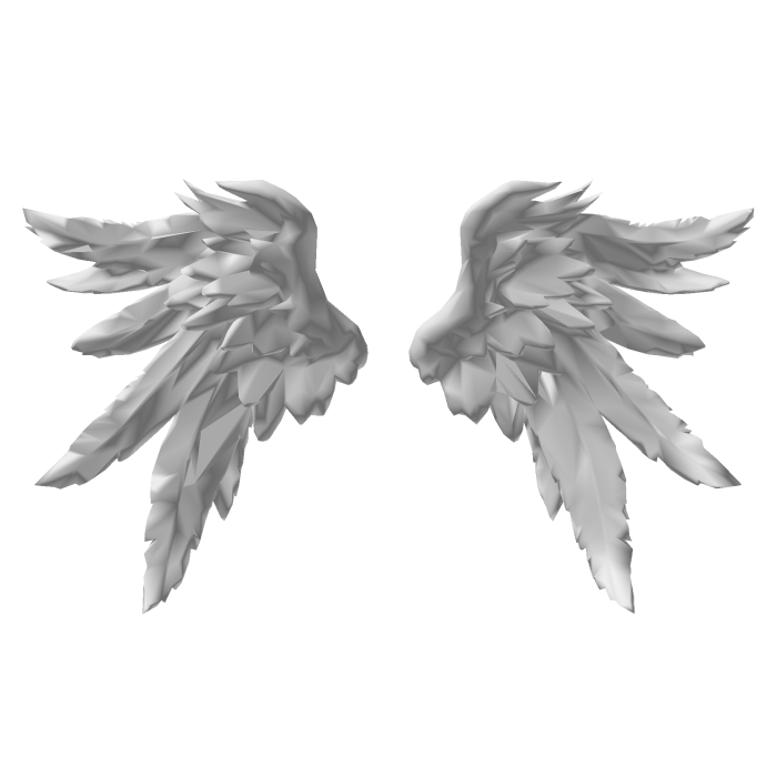 Huge Light Grey Angel Wings