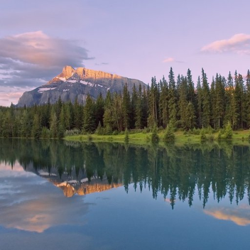 Country Side Relaxation 