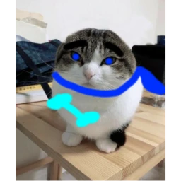 dusttrust banana cat encounter (GONE WRONG) sussy  icon