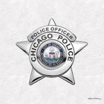 Chicago Police Department Englewood