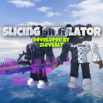 Slicing Simulator