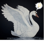 Superstar Swans!