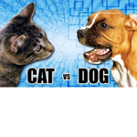 cats and dogs the war
