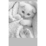 Cat sqaud! Yayy