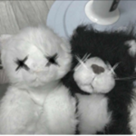 “Strays!”