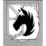 AOT: GS | Military Police
