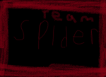 team spider group