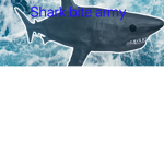 Shark bite army (fan group)