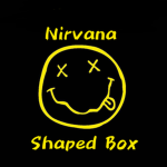 Nirvana Shaped Box