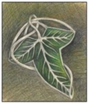 lorien