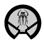 Special Forces || Commando Squadron