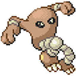 HITMONLEE'S RACING (NEW)