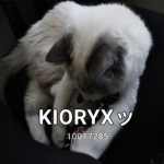 KIORYXッ