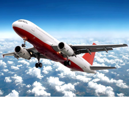 Plane City