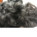 Doggy’s:)