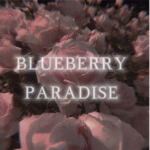 Blueberry Paradise